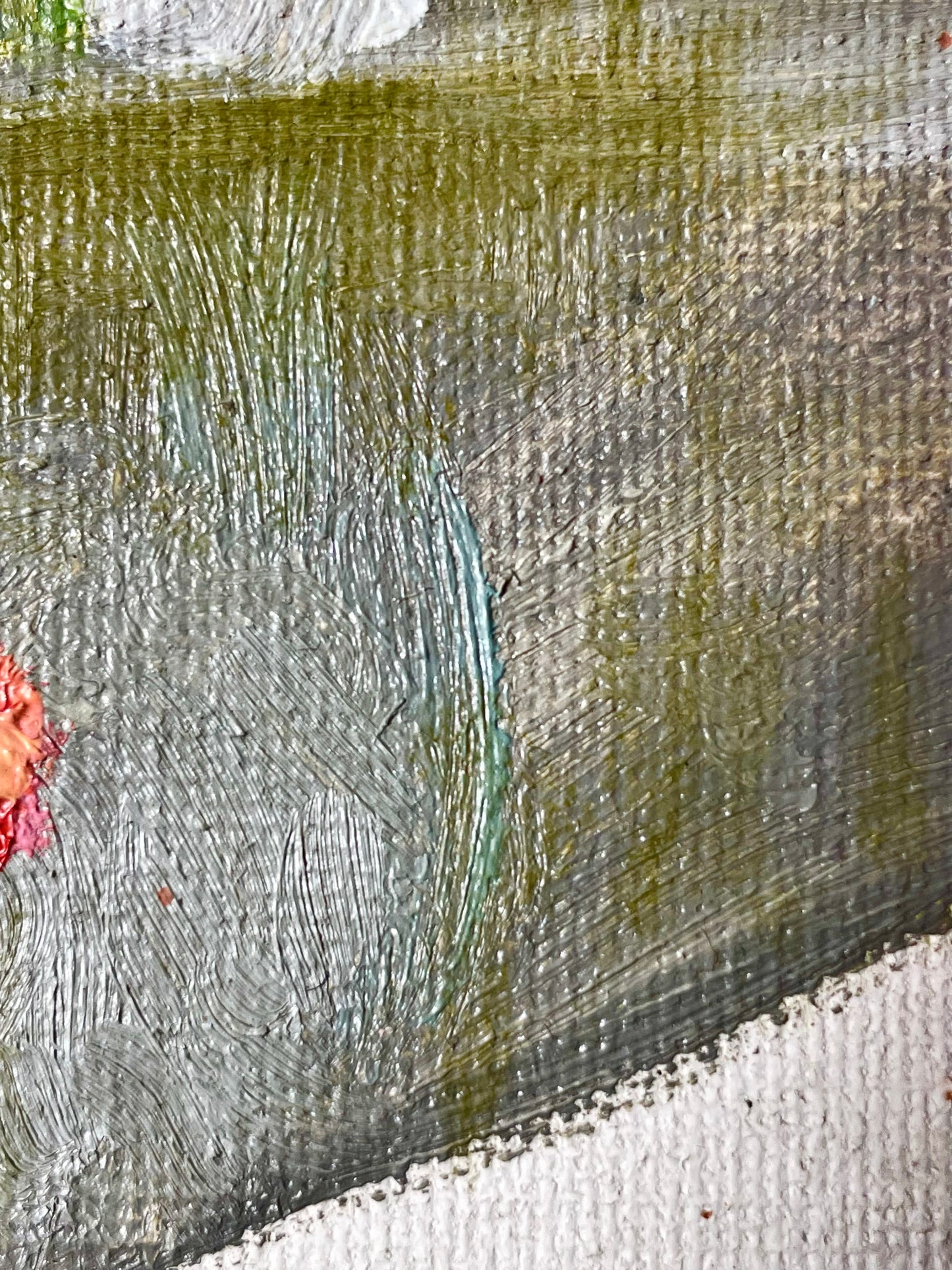 El resplandor de la bugambilia en un día gris
